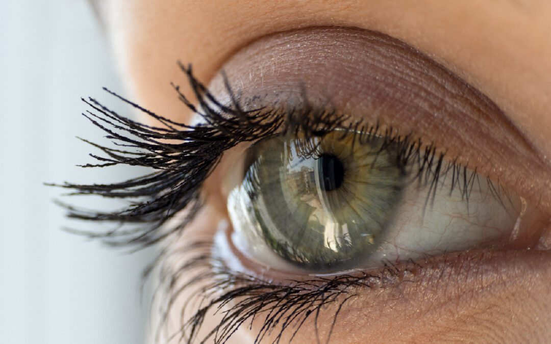 Lash and Brow Serum
