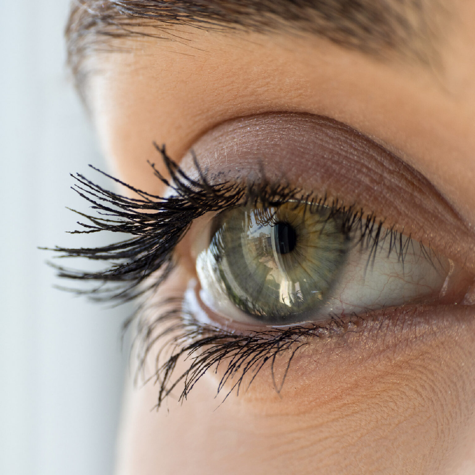 Lash and Brow Serum